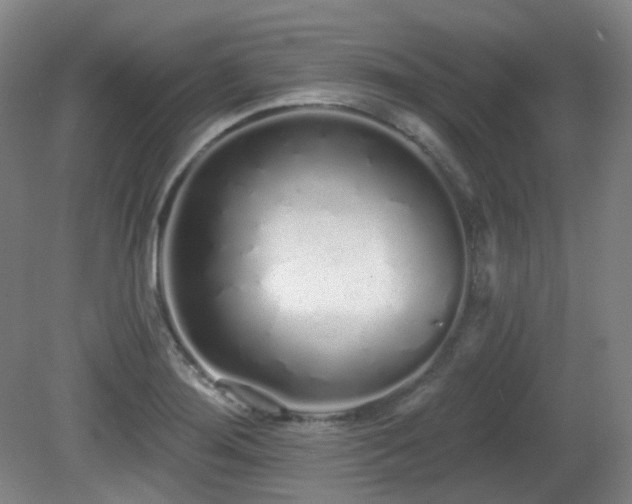 X0000081601276200701151329