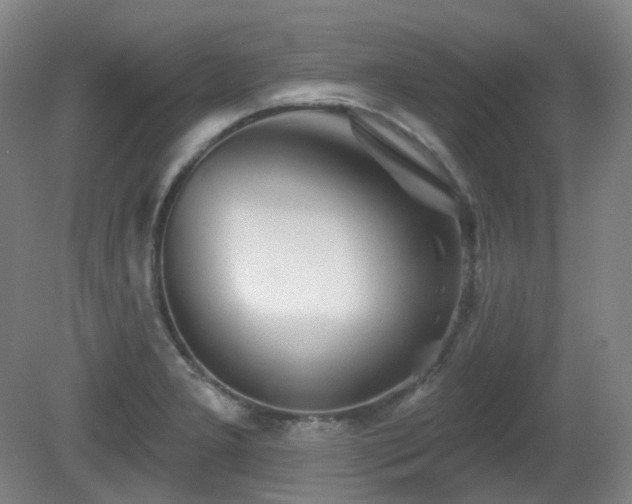 X0000081601277200701151329