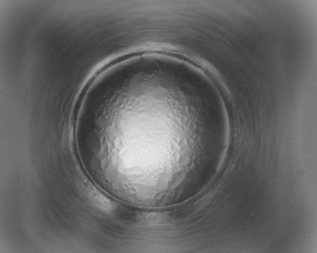 X0000081601280200701151329