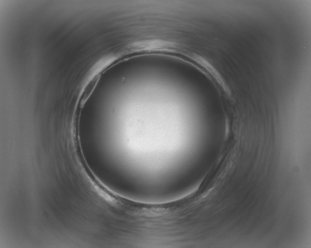 X0000081601285200701151329