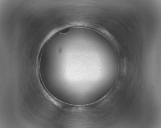 X0000081601286200701151329