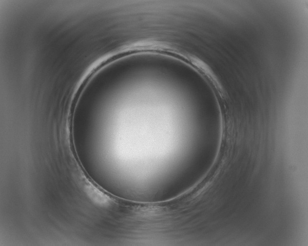 X0000081601288200701151329