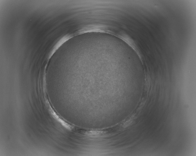 X0000081601290200701151329