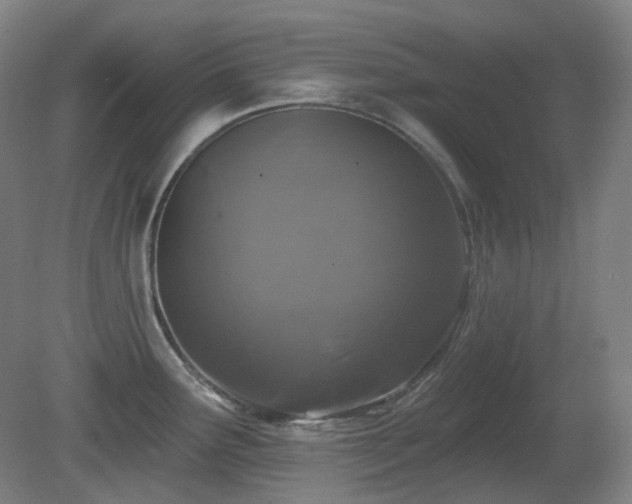 X0000081601291200701151329