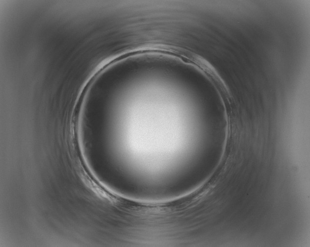 X0000081601292200701151329