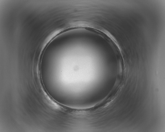 X0000081601293200701151329