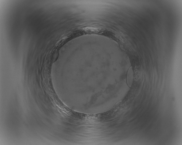 X0000081601297200701151328