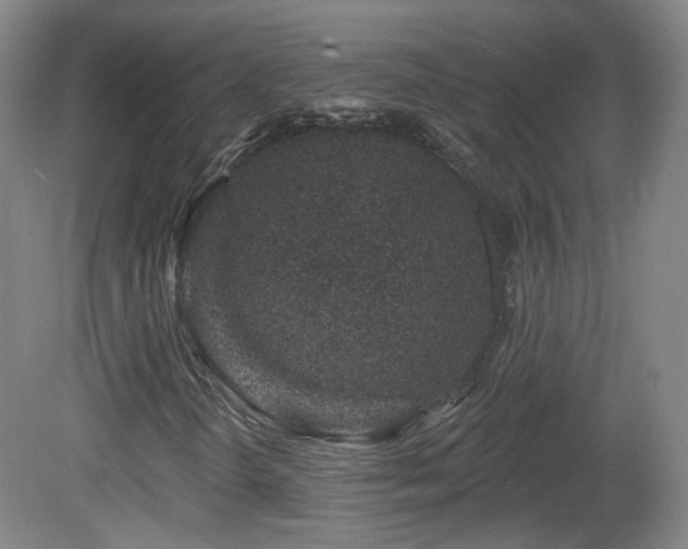 X0000081601298200701151328