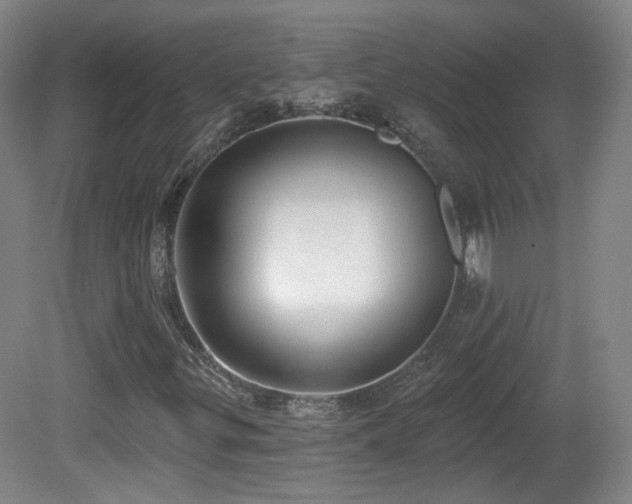 X0000081601299200701151328