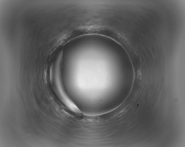 X0000081601300200701151328