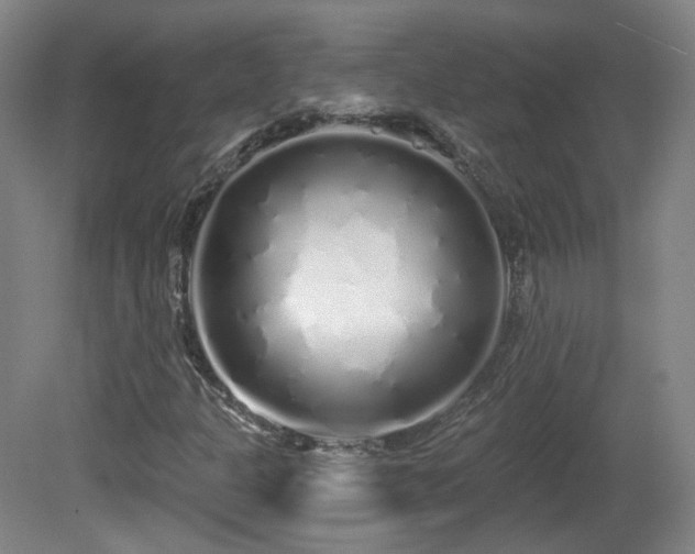 X0000081601301200701151328