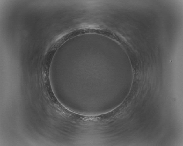 X0000081601303200701151328