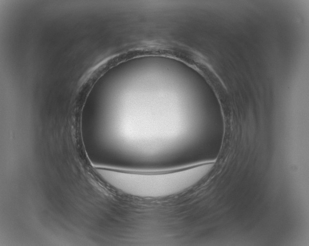 X0000081601304200701151328