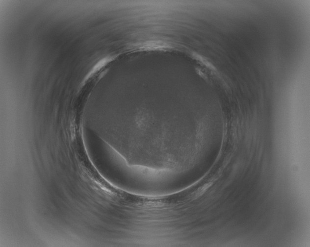 X0000081601306200701151328