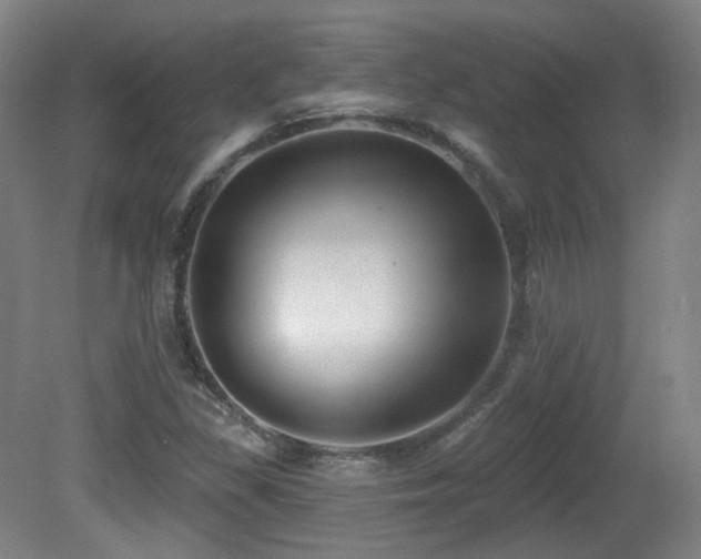 X0000081601309200701151328