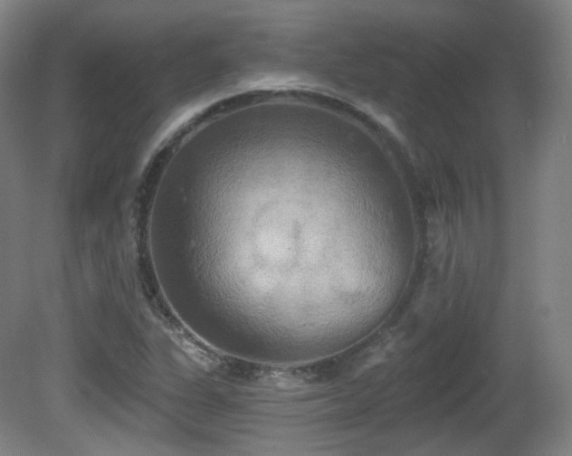 X0000081601311200701151329