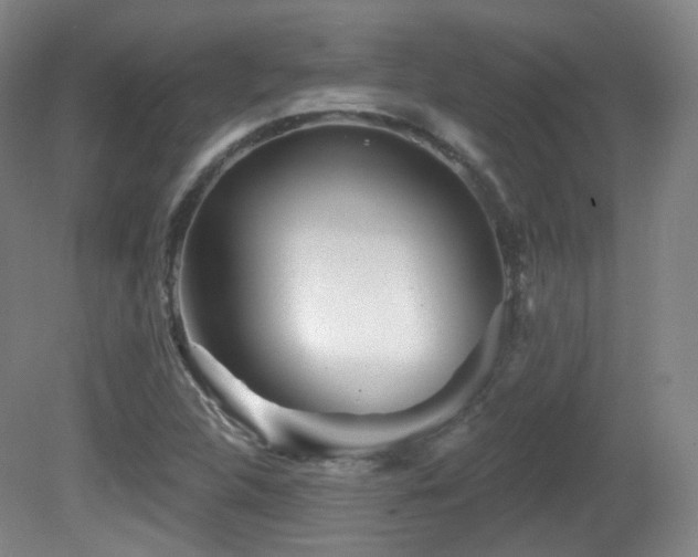X0000081601312200701151329