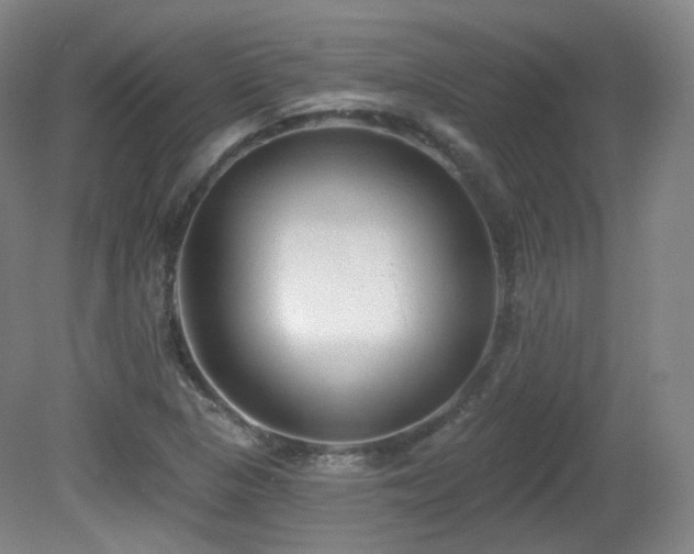 X0000081601313200701151329