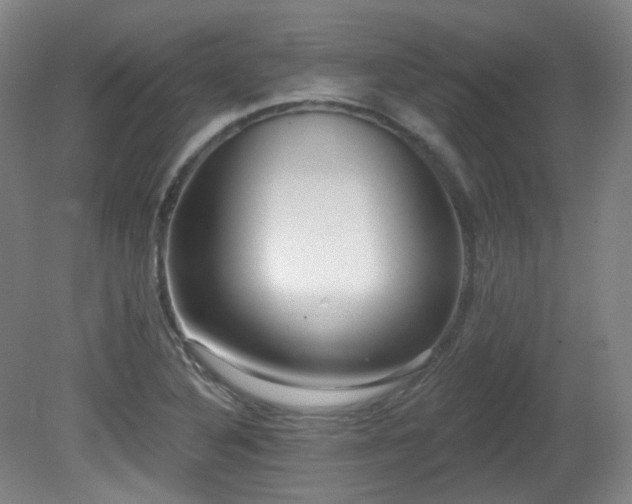 X0000081601316200701151329