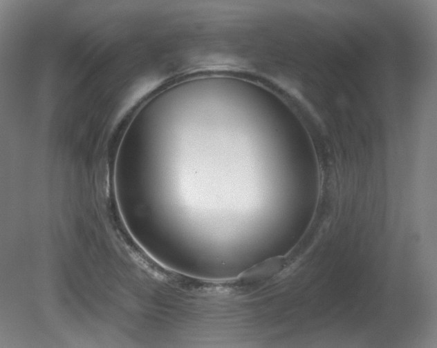 X0000081601317200701151329