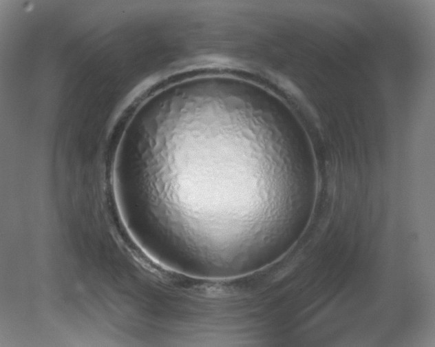 X0000081601318200701151329