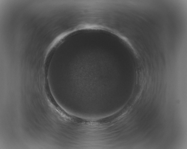 X0000081601319200701151329