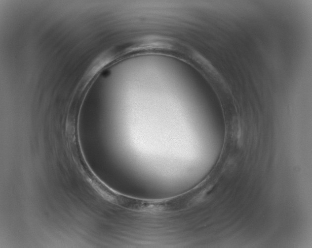 X0000081601321200701151329