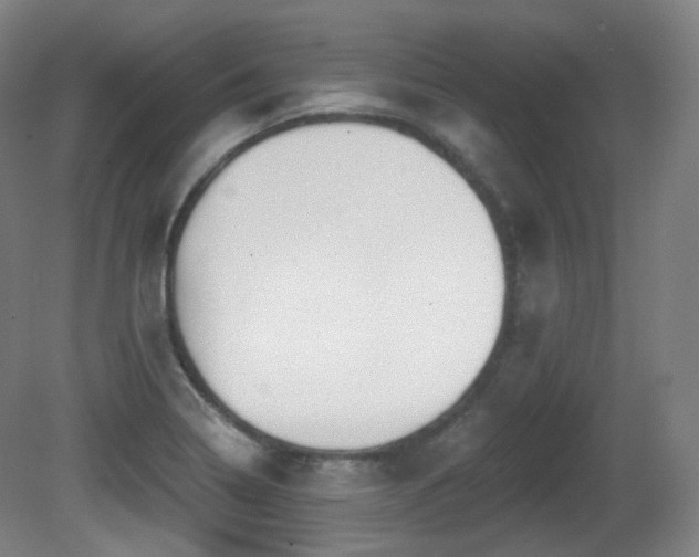 X0000081601322200701151329