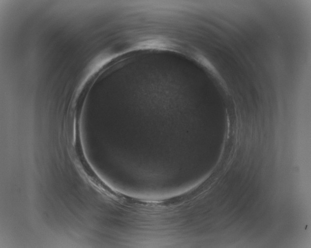 X0000081601323200701151329
