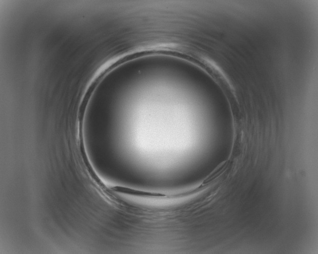 X0000081601324200701151329