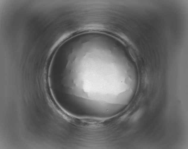 X0000081601325200701151329