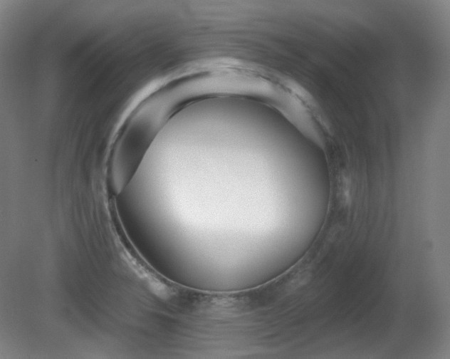 X0000081601326200701151329