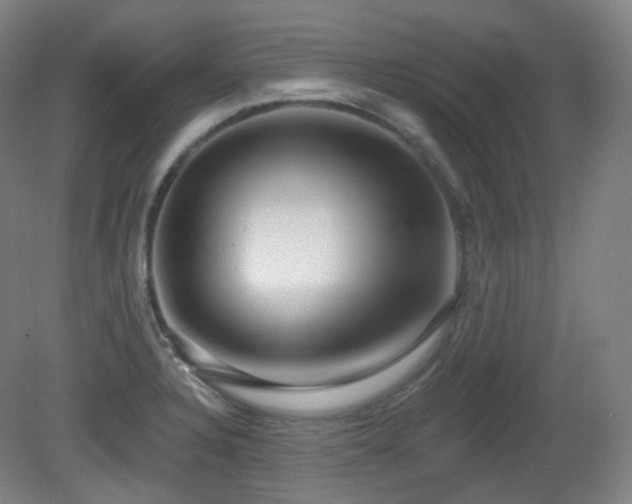 X0000081601328200701151329