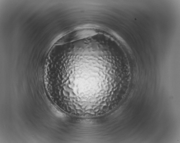 X0000081601329200701151329