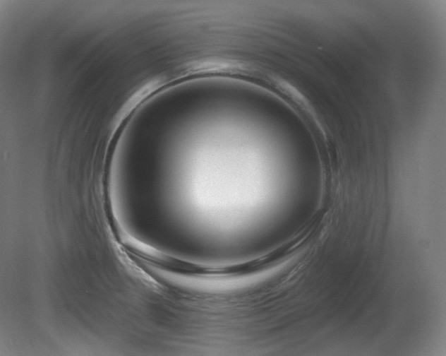 X0000081601330200701151329