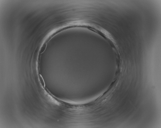 X0000081601334200701151329