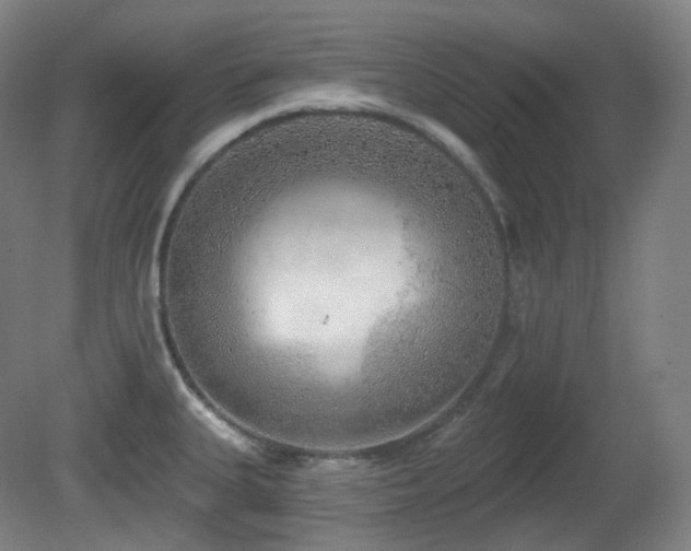 X0000081601335200701151329