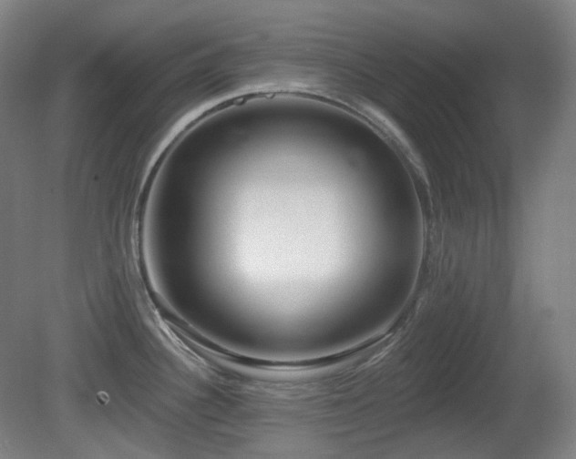 X0000081601340200701151329