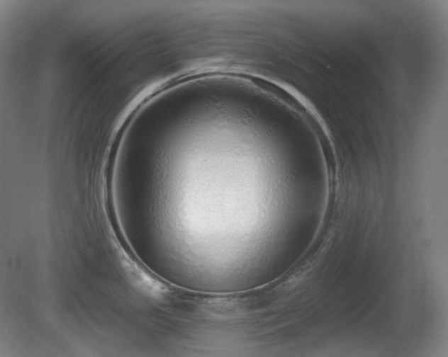 X0000081601341200701151329