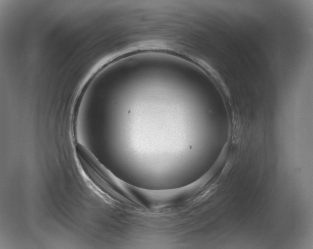 X0000081601342200701151329