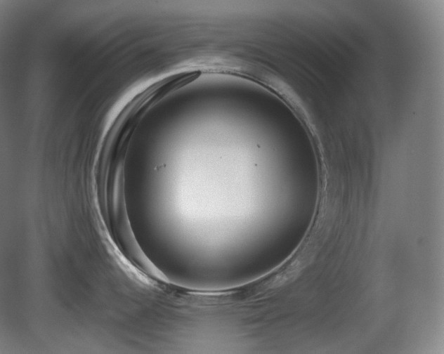 X0000081601344200701151329