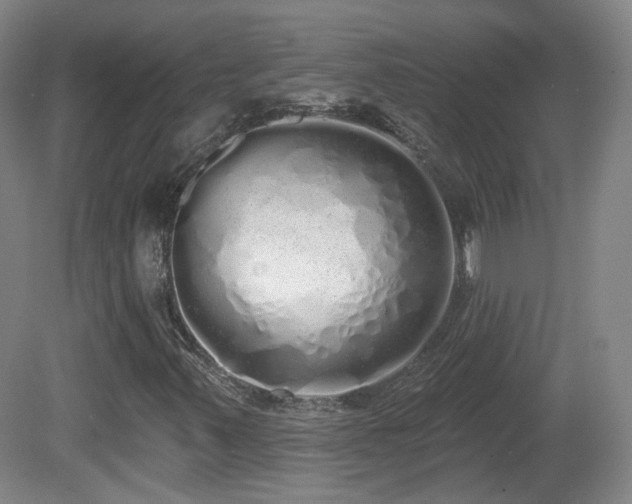 X0000081601347200701151328