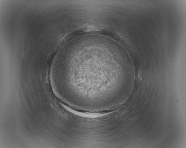 X0000081601348200701151328