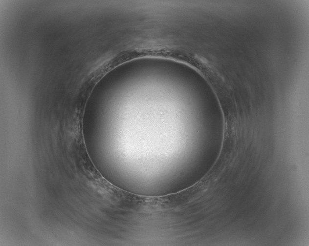 X0000081601350200701151328
