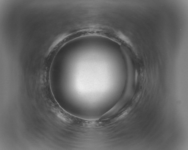 X0000081601352200701151328