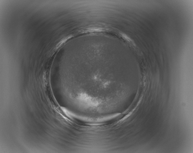 X0000081601353200701151328
