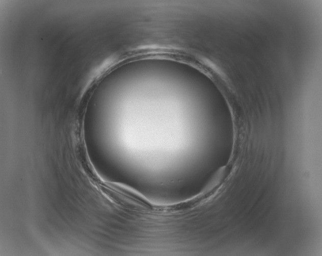 X0000081601357200701151328