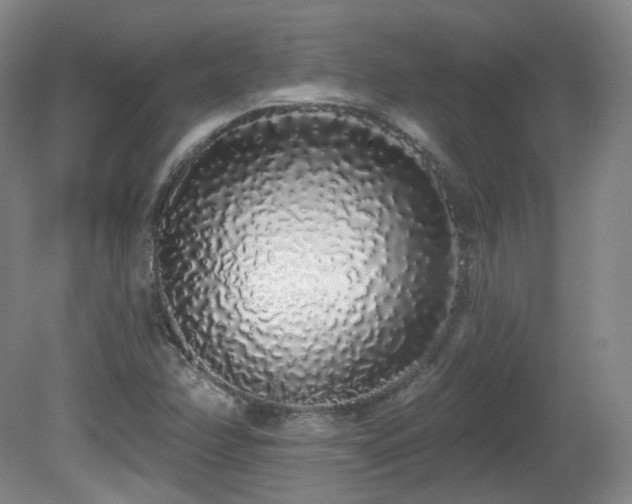 X0000081601358200701151328