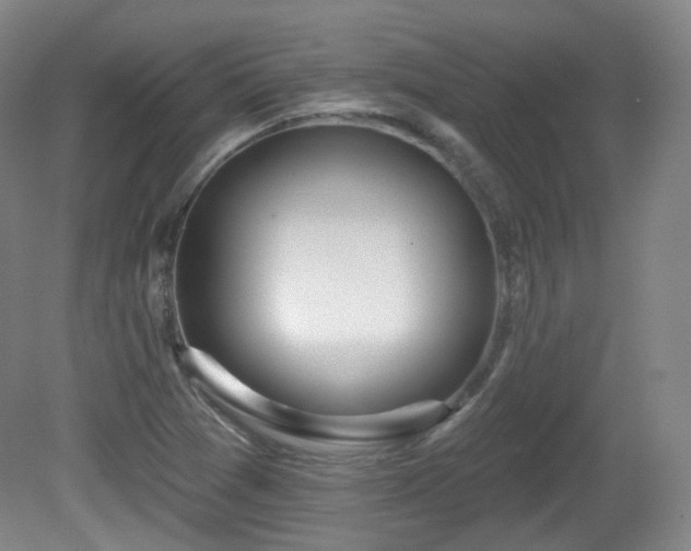 X0000081601361200701151328