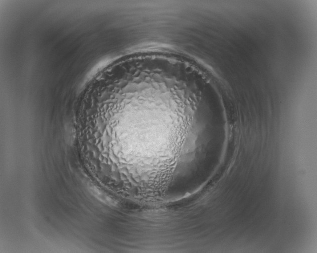 X0000081601363200701151328
